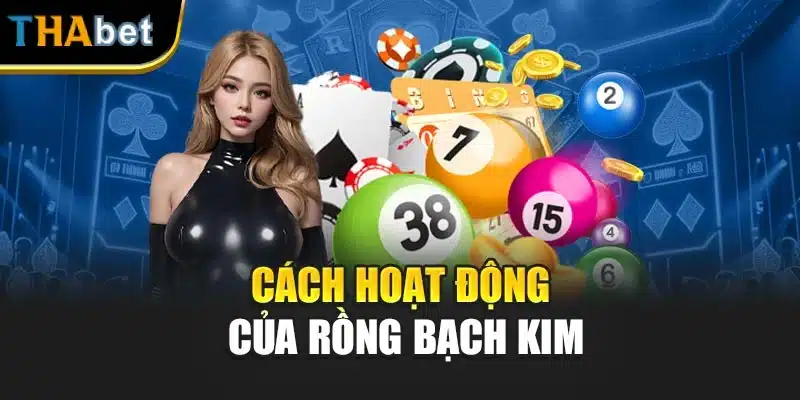 Cách hoạt động của rồng bạch kim